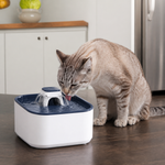 Cat drinking from a circulating pet water fountain