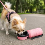 Small dog drinking from a pink travel water bottle