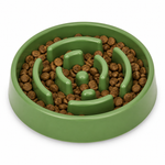 Green slow feeder bowl filled with dry pet food
